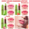Bálsamo Labial con Brillo y Color Aloe Vera Lip Balm