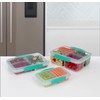 Sistema Sistema 11.8 Ounce Small Split Storage Container (Colors may