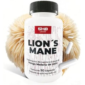 Melena de León Lions Mane Adaptógeno Con Magnesio Memoria 5H8 NUTRITION