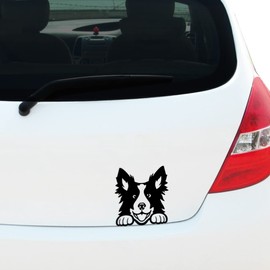 Peeking Border Collie Dog Sticker for Car Window Bumper Vinyl Decal Sticker, Dog Puppy, Caravan Sticker, 150mm