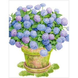 Caspari Potted Hydrangea Enclosure Cards & Envelopes - 4 Mini Cards & 4 Envelopes