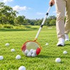 Rolling Nut Gatherer for Walnuts, Pecans & Golf Balls –