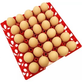 Rite Farm Products 6 RITE FARM PRODUCTS 30 EGG PLASTIC CHICKEN TRAYS SHIPPING CARTON POULTRY FLAT