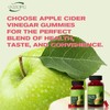 Apple Cider Vinegar Gummies Formulated to Support NormaEnergy Levels &