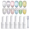 Coikaze Clear Magnetic Gel, Ultra Fine Particles, Magnetic Nail, Cat