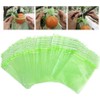 100 Pcs Fruit Protection Bags, CAASFOOY 6.7×9inch Fruit Grape Protective