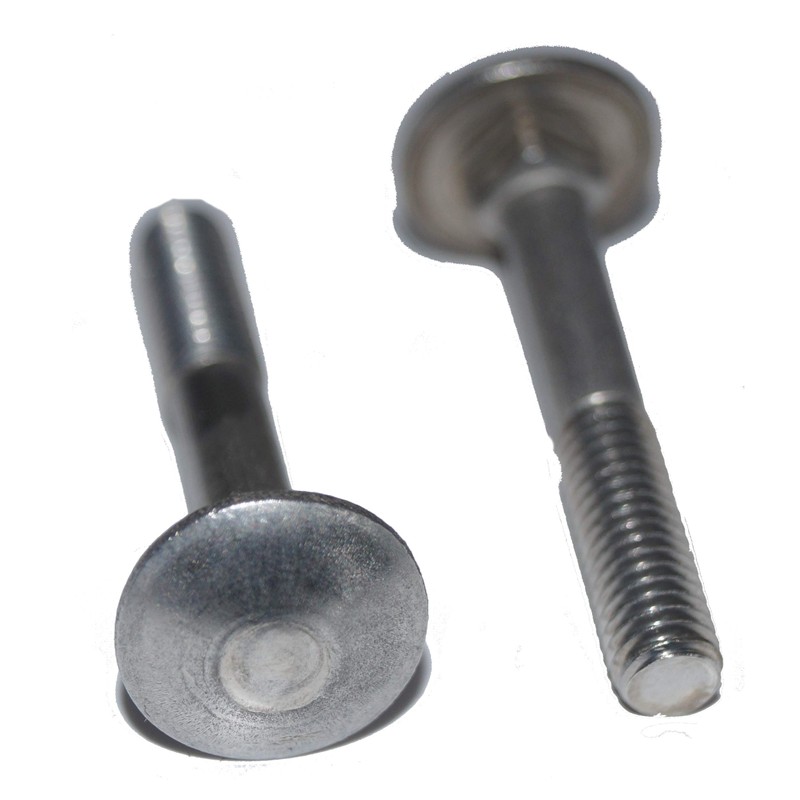 Carriage Bolts M5 x 55 Pack of 25 Round-Head Screws