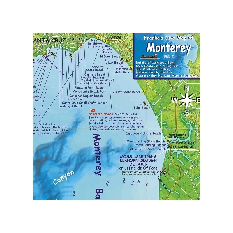 Monterey California Adventure & Dive Guide Map Laminated Poster by