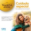 Shampoo De Avena Thankful Dog 400ml, color, 400 ml, pack