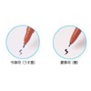 Raymay Fujii Congratulations Twin Brush Pen CF255 [Bulk Purchase Set