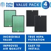 Fette Filter - Air Purifier Replacement Set Compatible with BioGS