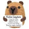 YREYBN Positive Capybara Gifts, Emotional Support Gift, Positive Gifts, Emotional