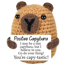 YREYBN Positive Capybara Gifts, Emotional Support Gift, Positive Gifts, Emotional Cheer Up Support School Graduation Gifts, Graduation and Holiday Presents