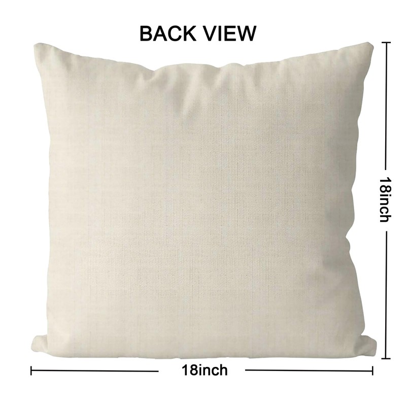 QIONG MENG St Patricks Day Pillow Covers 18x18 Inch Cow