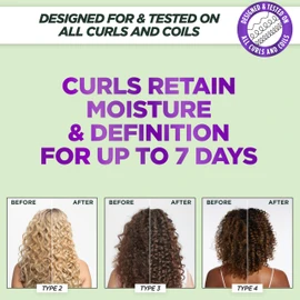 Garnier Fructis Method for Curls Moisture Refreshing Curl Activator, Curl Refresher Spray with up to 5% Hyaluronic Moisture Complex, Designed and Tested for 2C to 4C Curls and Coils, 12.5 fl oz