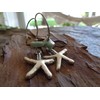 (Almost) real large starfish earrings on long hooks
