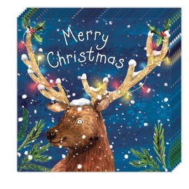 Twizler Frohe Weihnachten Karten 10 Stück – Prächtiges Hirsch-Design – Niedliche Weihnachtskarten Multipack – 10 Stück Weihnachtskarten – Frohe Weihnachten Karten – Weihnachtskarten 10 Stück