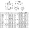 CEKER 8mm to 1/2 Inch NPT Male Push to Connect