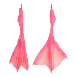 Duck Pair of Swimming Feet (Museum Quality Replica)