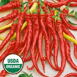 Everwilde Farms - 20 Organic Sweet Cayenne Hot Pepper Seeds - Gold Vault Packet