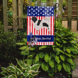 Caroline's Treasures BB8363GF Wetterhoun Frisian Water Dog American Garden Flag Mailbox Flag Decorative Yard Flag Banner Outside Patio Artwork Yard Flower Beds, Garden Size, Multicolor