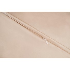 Oeko-TEX® Certified Silk Pillowcase for 100% Silk 22 Momme Pillow Case for Hair and Skin, Anti Aging, Anti Dust Mite (40 x 40 cm, Light Champagne)