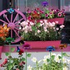Retyion 6 Pack Bee Watering Station - Flowers Butterfly Feeder,