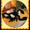 Simulation Black Scorpion Plush Toys Animal Dolls Stuffed Soft Real