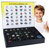 BTYCityMao Rock Collection for Kids - 36pc Cool Rocks and