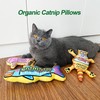 TTcat Organic Catnip Toy for Cats & Kittens,Cat Chew Toy