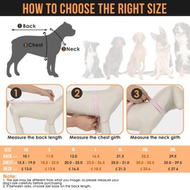 SlowTon Dog Raincoat, Adjustable Dog Rain Jacket Clear Hooded Double Layer, Waterproof Poncho with Reflective Strip Straps and Storage Pocket for Small Medium Large Dogs Puppies(OR XL)