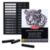 PANDAFLY Compressed Graphite Charcoal Sticks, 24 Pieces Black & White