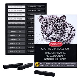 PANDAFLY Compressed Graphite Charcoal Sticks, 24 Pieces Black & White Vine Charcoal Sticks for Drawing, Sketching, Shading, Charcoal Drawing Set for Beginners & Pro Artists