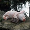 Paxton Pig Resin Garden Ornament"Wake Me Up When It Is