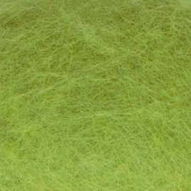 Carded Wool for Felting - Needle Felting, Batt, Craft - Single Shade (Group C), 100 Grams 3.5 Oz (Spring Grass (78))