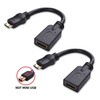 Cable Matters 2 Pack 4K Mini HDMI to HDMI Adapter