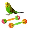 Buwei 2 Pcs Bird Parrot Toy Rattle Birds Fun Exercise