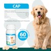 RUILAND Ca-P Suplemento con Vitamina D, Calcio y Fósforo para