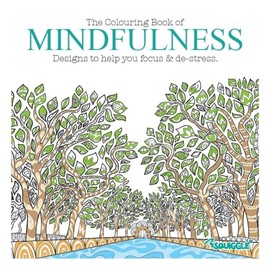 Youngland® Set of 4 Colouring Books for Adults with 22 Colouring Pencils – Intricate Advanced Colouring Books for Relaxation and Mindfulness (Set 4)