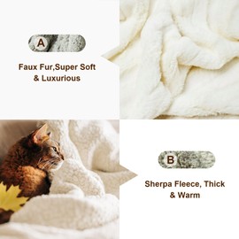COZYART Faux Fur Sherpa Throw Blanket for Couch, Sage Green 50"x60" Sherpa Fleece Reversible Soft Fuzzy Fluffy Shaggy Microfiber Blankets for Sofa Bed Home Decor
