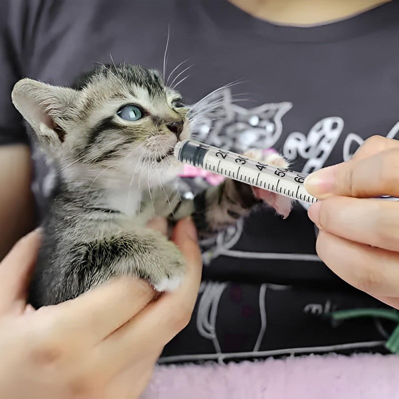 10 Pack 1ml Plastic Syringes with Needle, Dispensing Measuring Tool