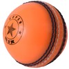 SPIN FIRST Soft & Safe Indoor Outdoor Incrediball Cricket Balls!