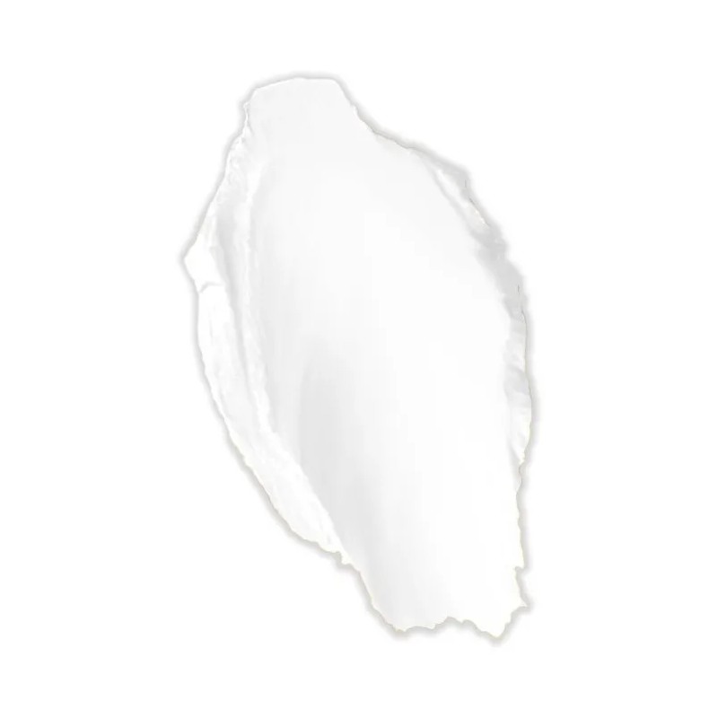 Polvo Maquillaje Compacto - Bissú