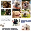 Muzzle for Dogs, Muzzle for Short Nose, Short Nose Dogs,