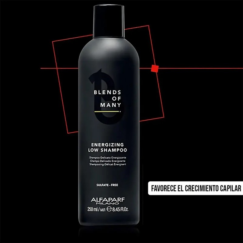 Shampoo Anticaspa Alfaparf Blends of Many Rebalancing Low Sin Sal