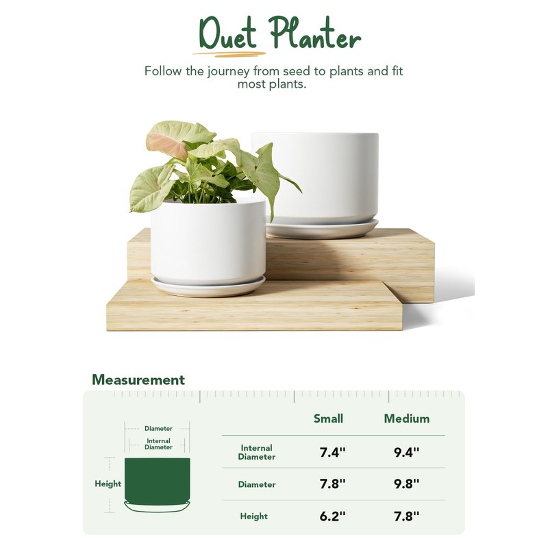 LE TAUCI Ceramic Plant Pots, 8 + 10 Inch Pots