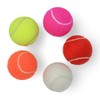 Price's 5 Coloured Tennis Balls (5)