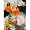 Crepe Paper pennoy Flower DIY Making Kit 24 pcs (Peach