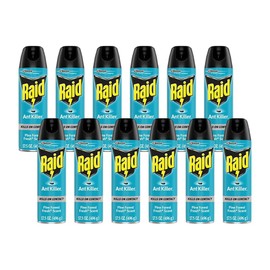 Raid Ant Killer Spray Pine Forest (17.5 Ounce (Pack of 12)