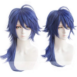 Heat Resistant Cosplay Wig, Second Castle, Emperor Arisugawa Party Wig + Bonus 2 Pieces